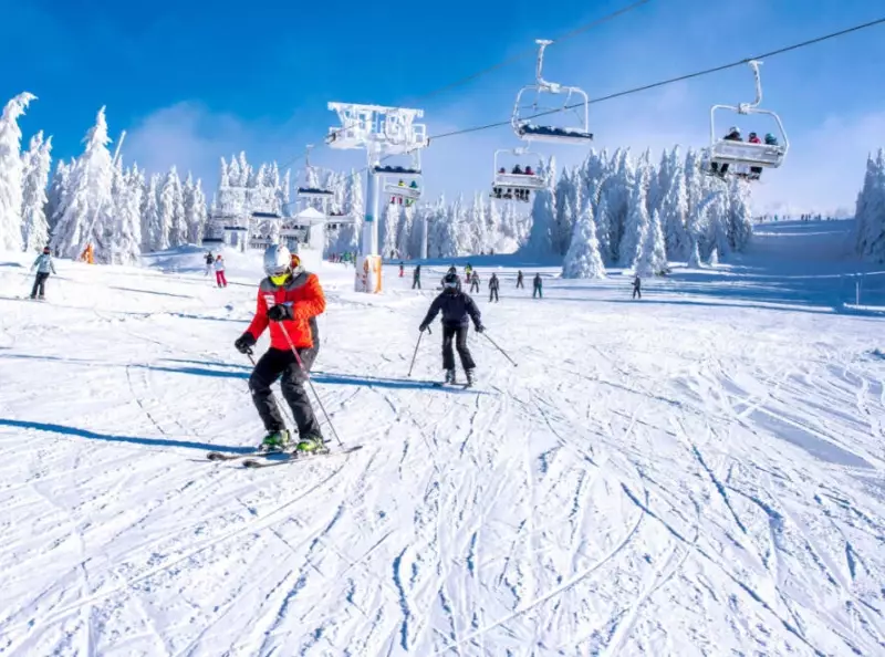 easy ski resorts for beginners easy ski resorts for beginners