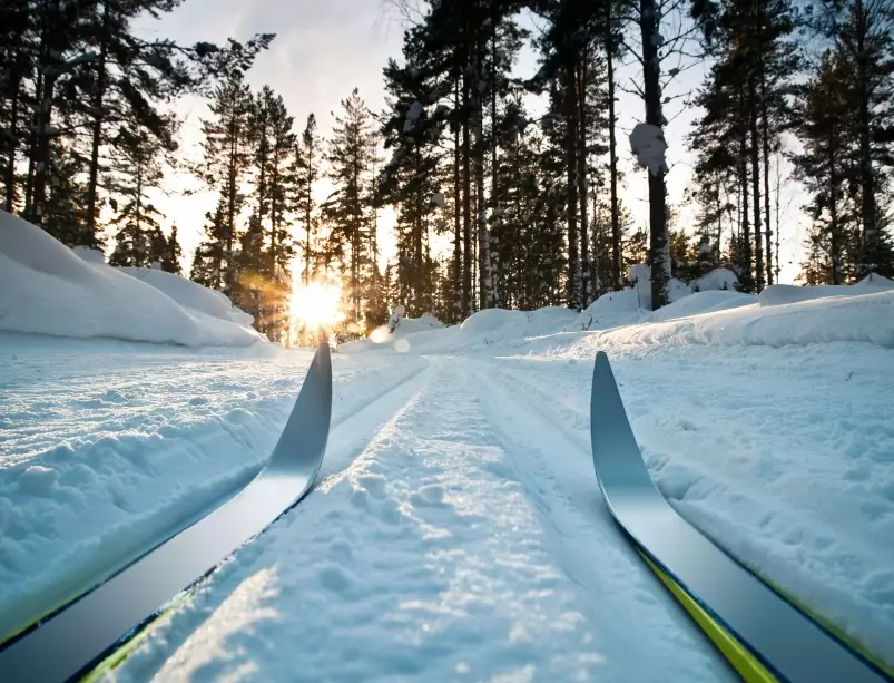 ski run difficulty ratings ski run difficulty ratings