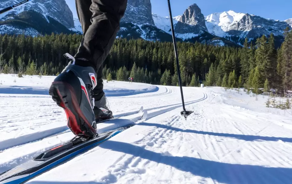 ski equipment for beginners