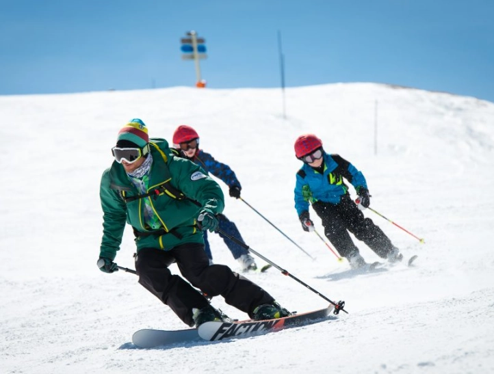 dryland ski training