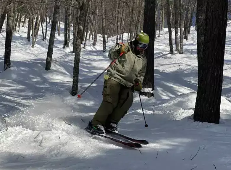 What is the lifespan of shaggy skis?