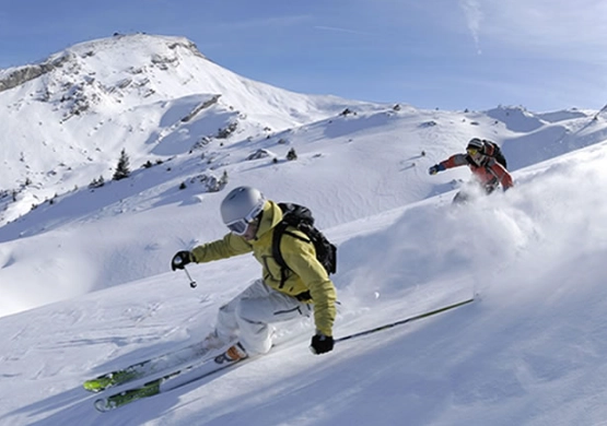 Winter Olympics skiing events