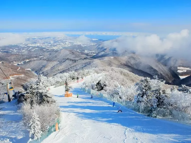 best ski resorts Korea