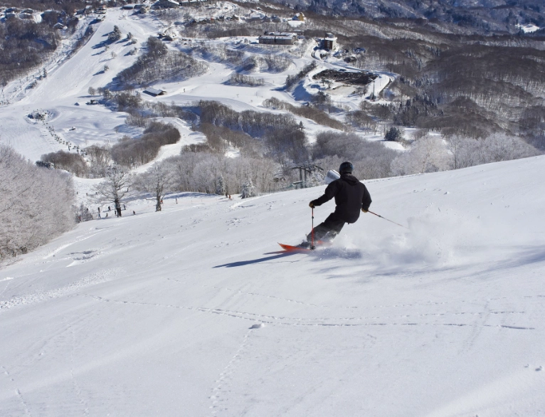 beginner skiing japan