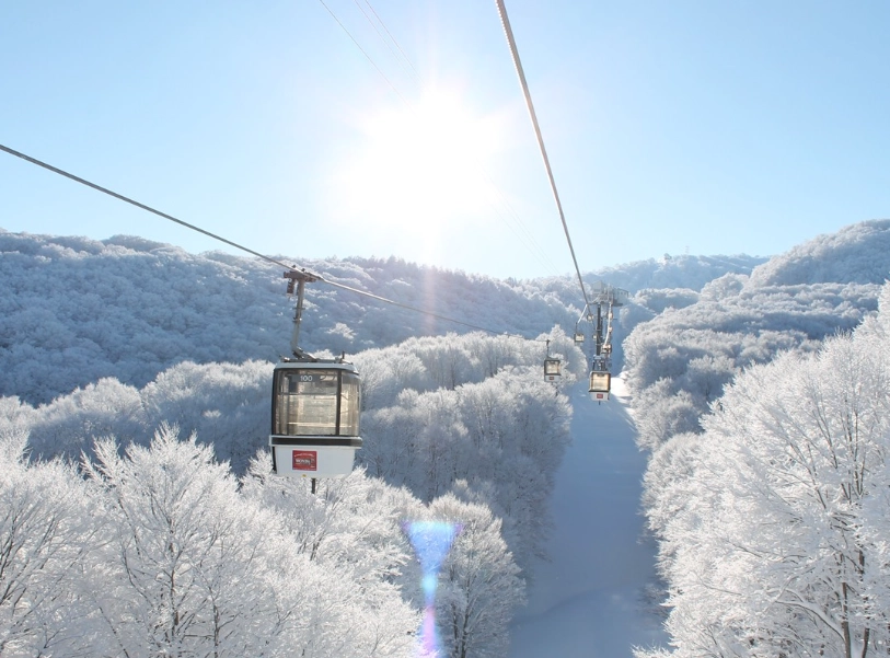 best ski resorts in asia for beginners