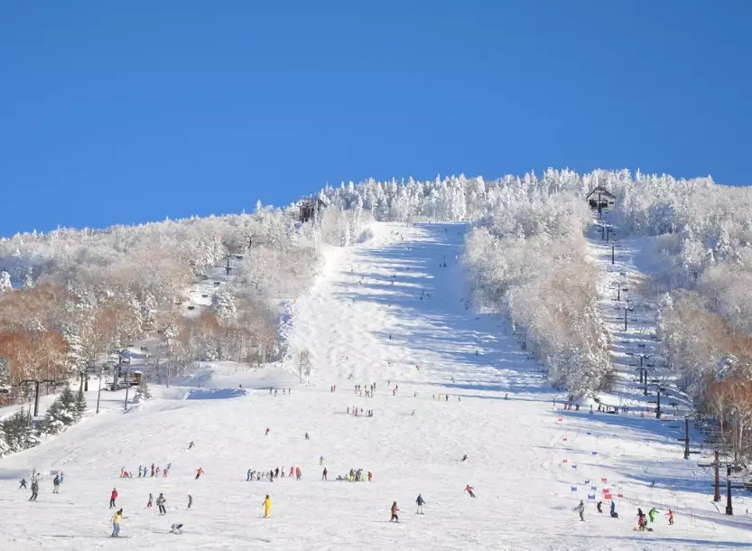 Shiga Kogen ski passes