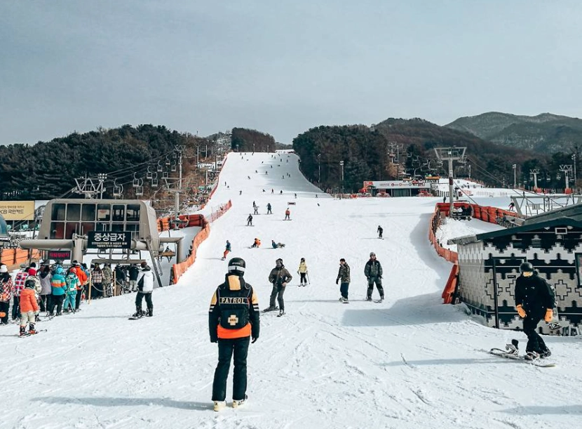 skiing in Korea