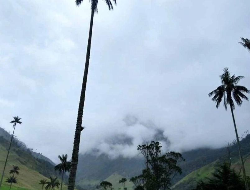 Bogota altitude sickness