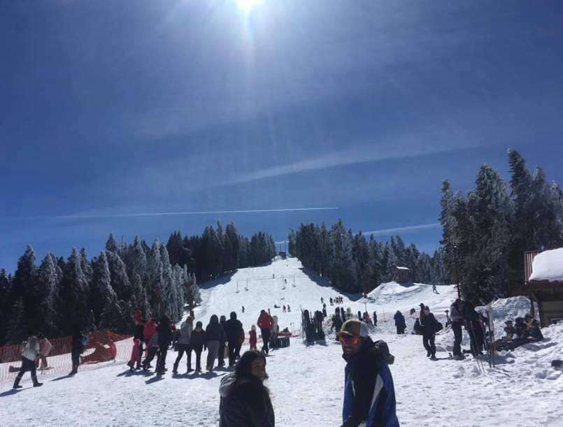 alta sierra ski