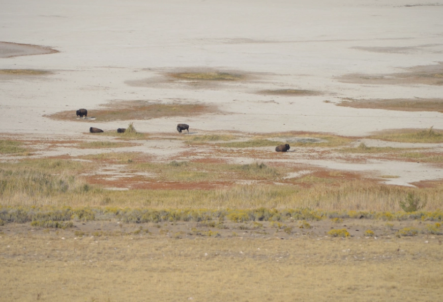 high altitude skiing