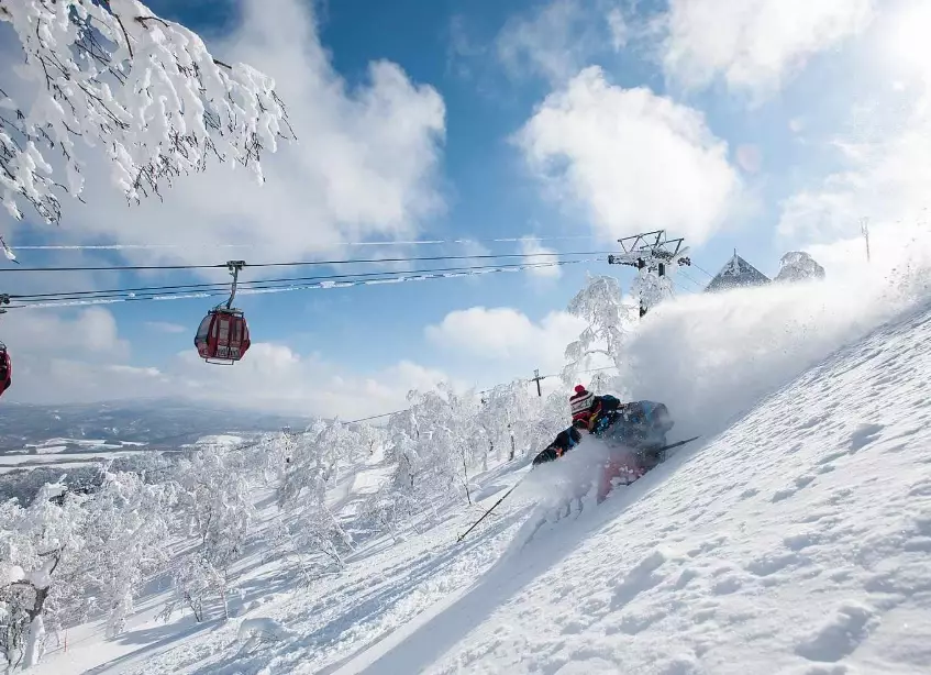 Niseko skiing