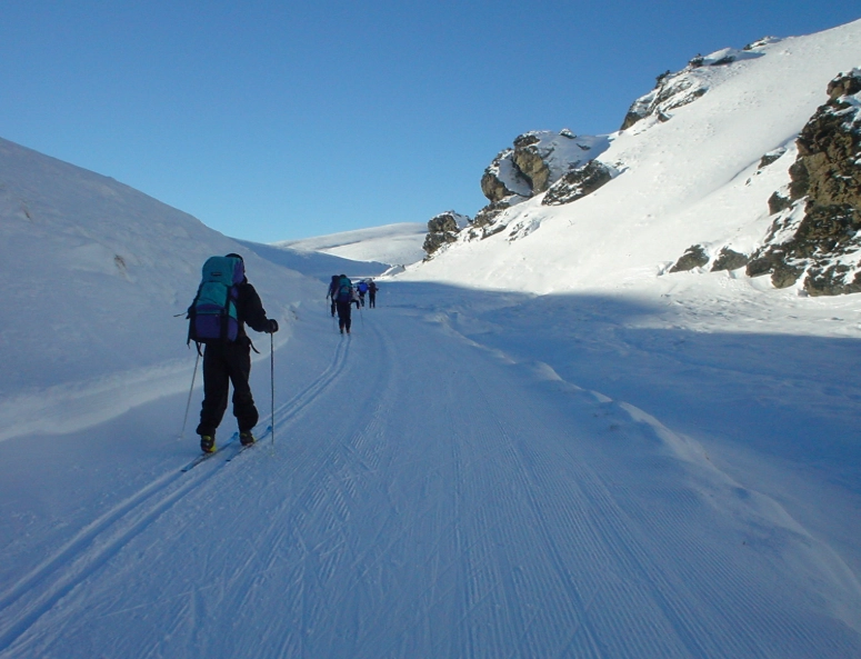 parallel turn skiing