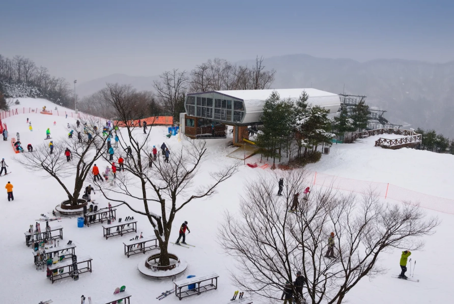 skiing in Korea