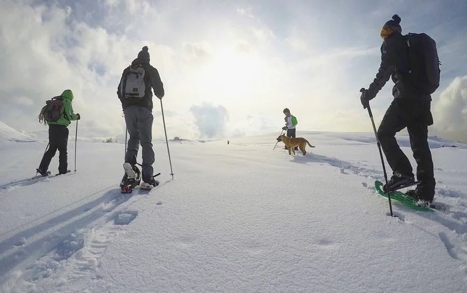 skiing in Lebanon