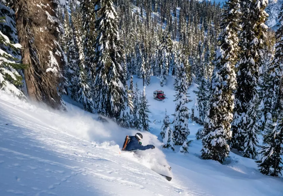 untracked snow skiing
