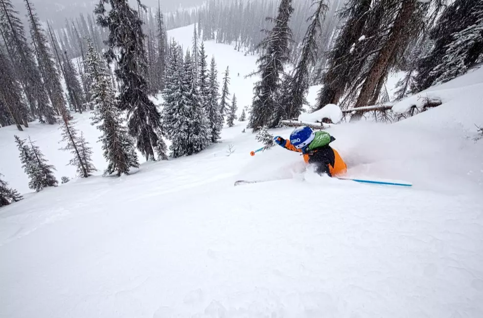 best powder skiing colorado