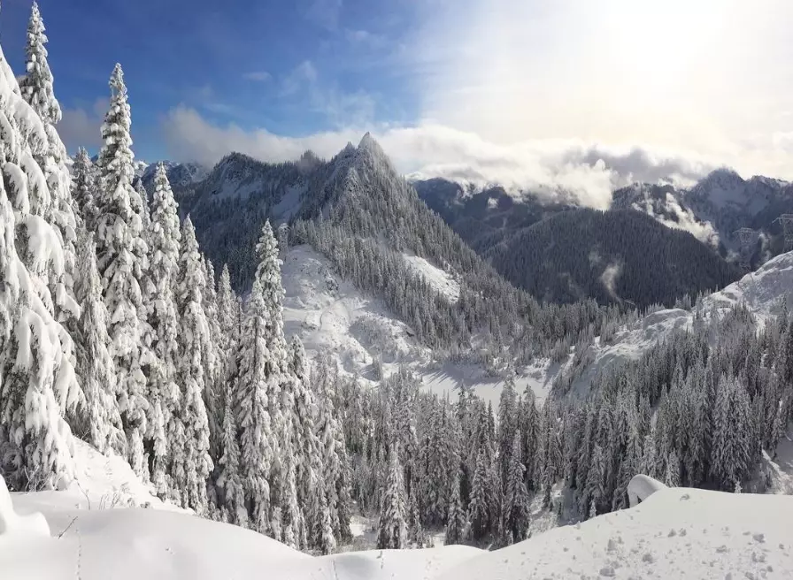 stevens pass lift tickets