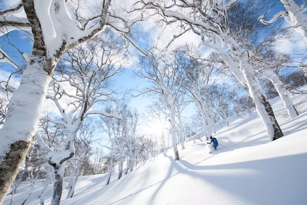 Japan powder snow Japan powder snow