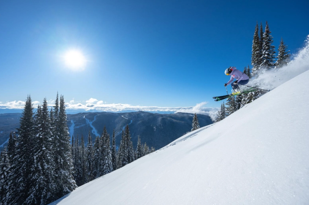 Ski-in/ski-out accommodation