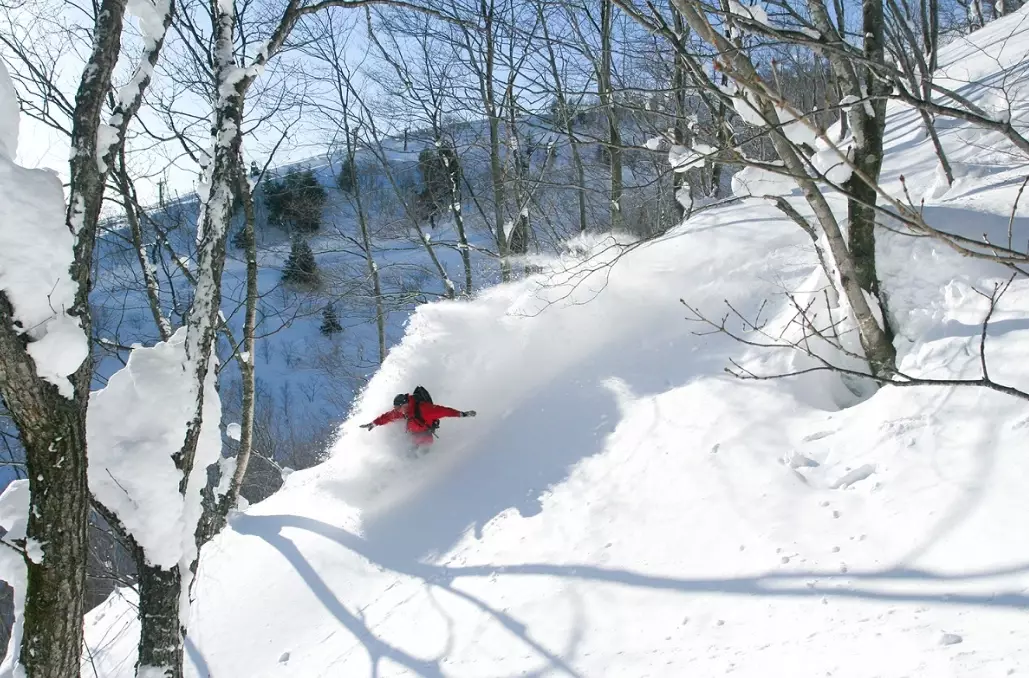 Japan ski resort powder guide