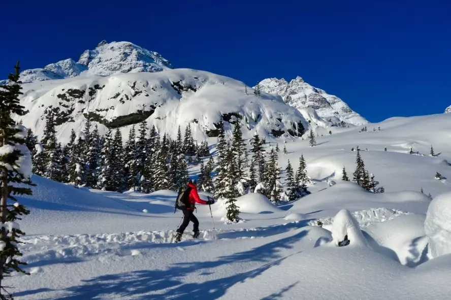 backcountry ski lodges BC